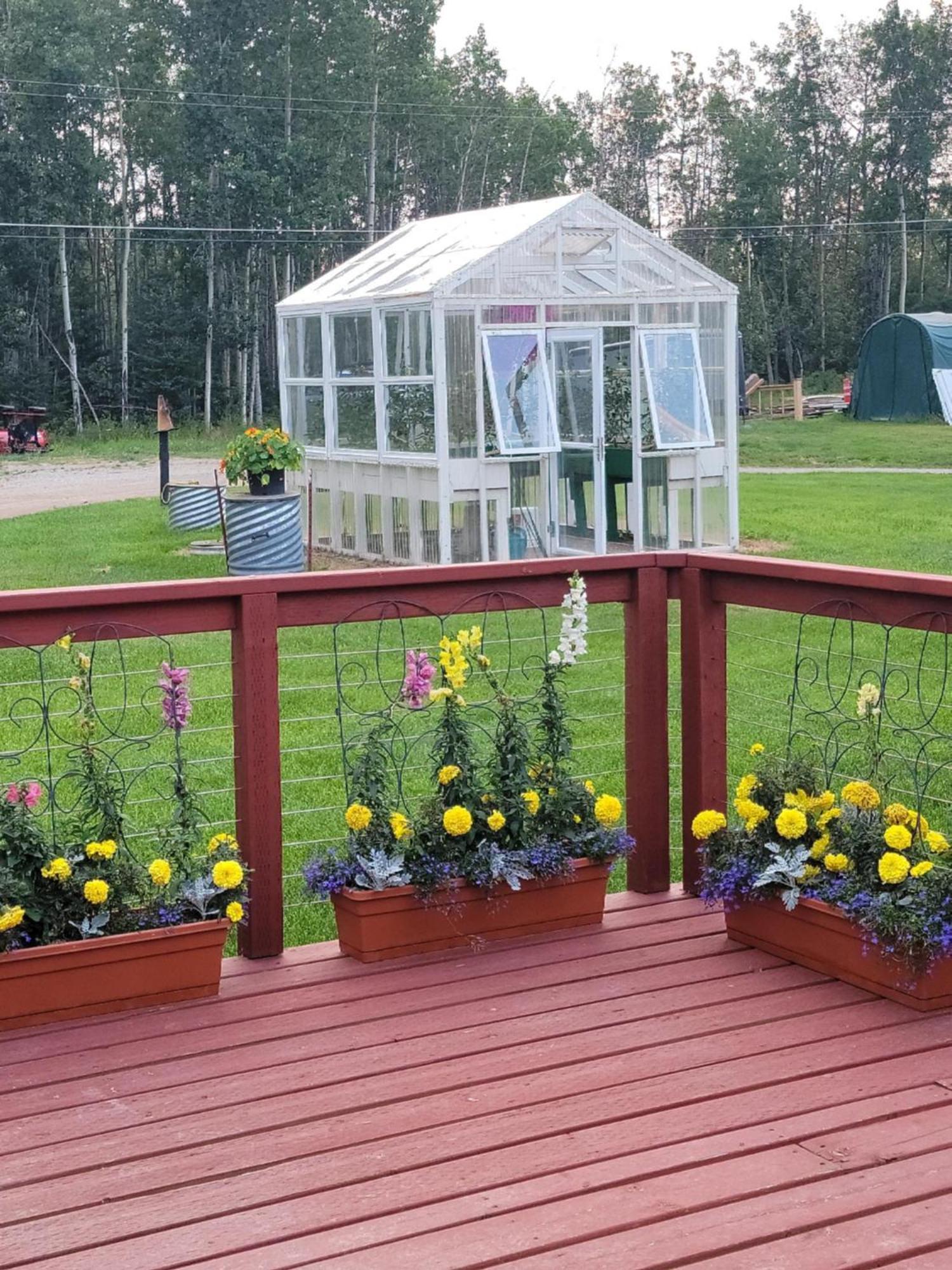 Alaska Country Inn Delta Junction المظهر الخارجي الصورة